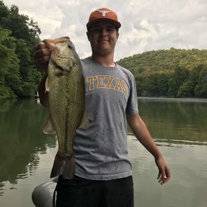 Meet your Posher, Holden